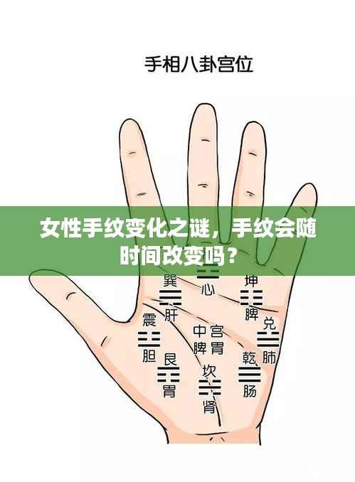 饭来张口 第2页